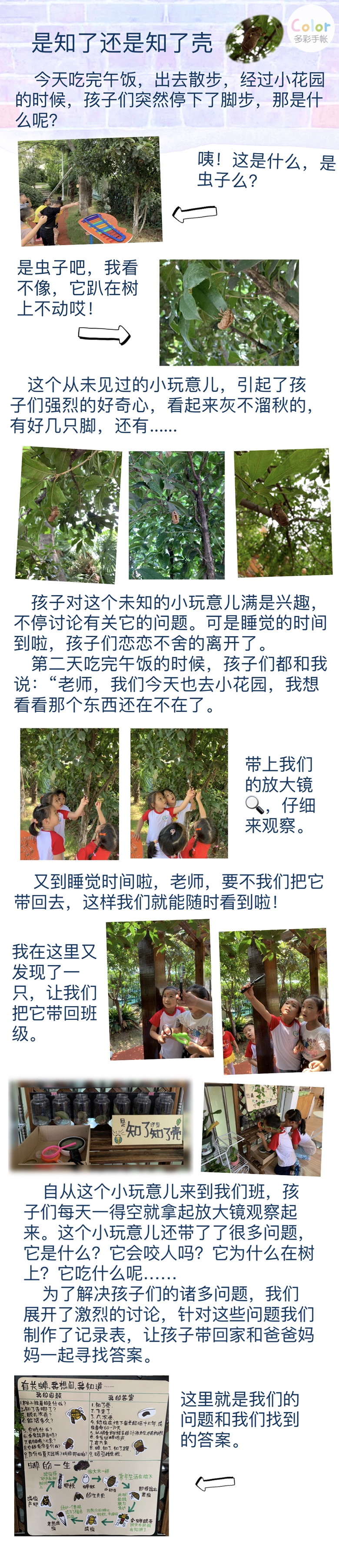 知了.jpg