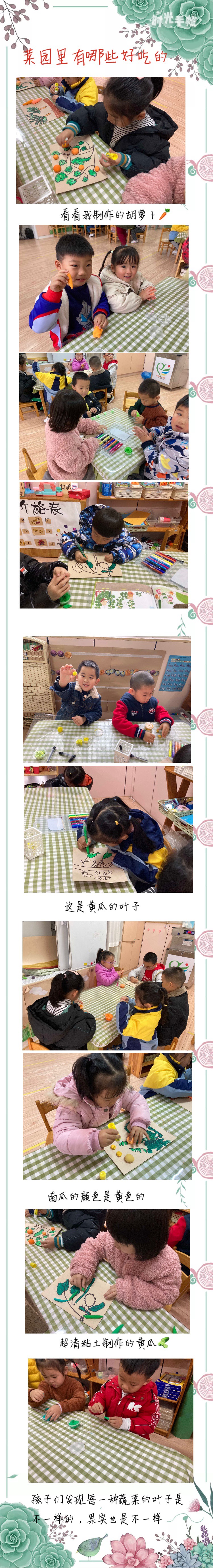菜园里有哪些好吃的.JPG