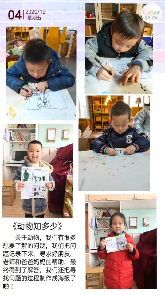 动物知多少.jpg